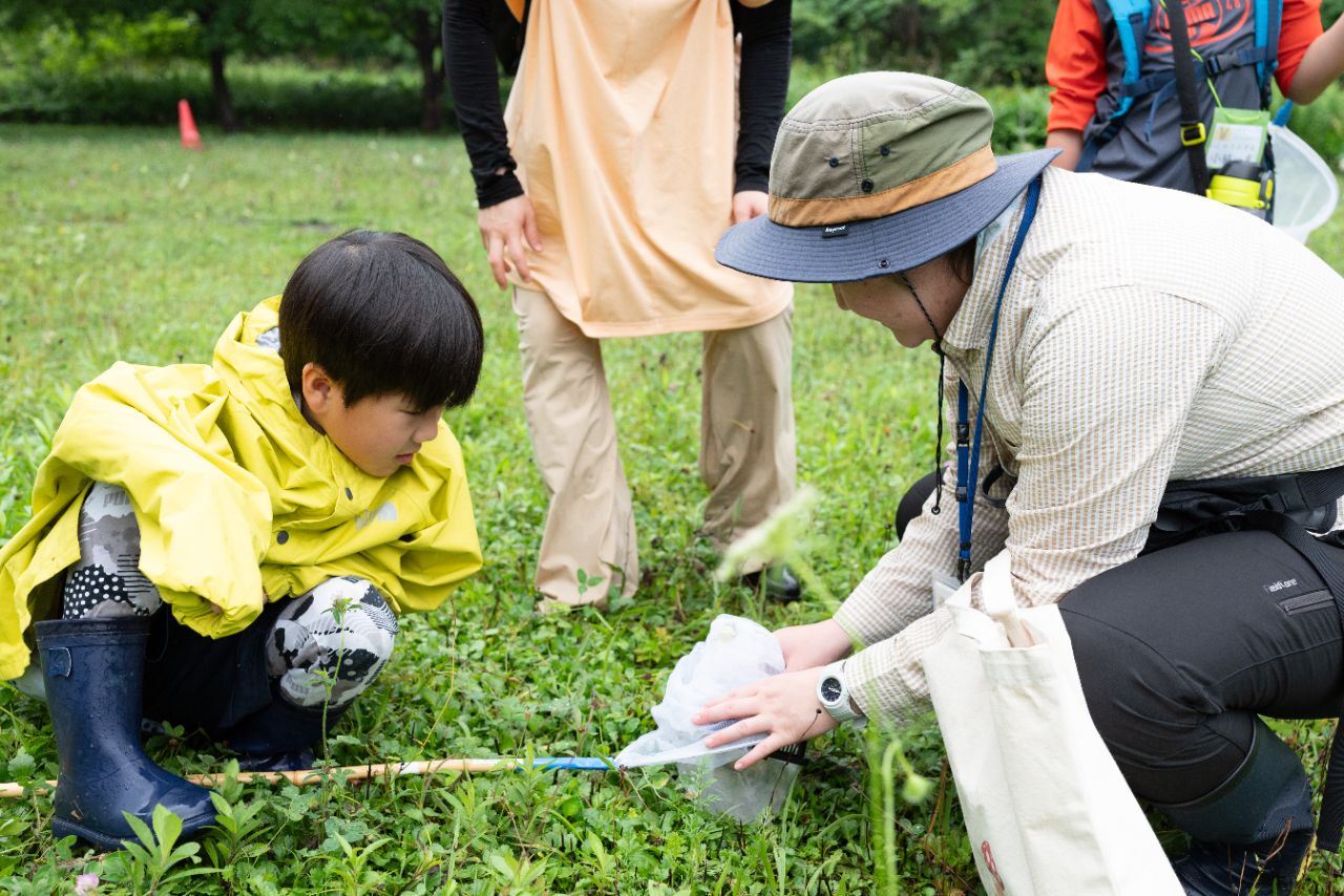 b.移動する虫たちをアドバイスで上手にキャッチできました。バッタをつかまえたTくん（４才）